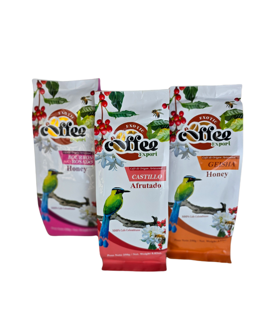 Premium high-altitude coffee beans 3-pack with Bourbon Rosado, Castillo, and Geisha varieties.